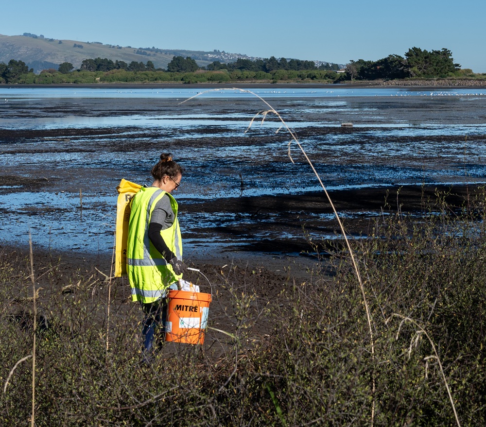 Mother of All Clean Ups