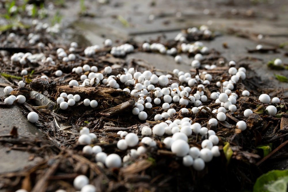 Operation Nurdle Project Image