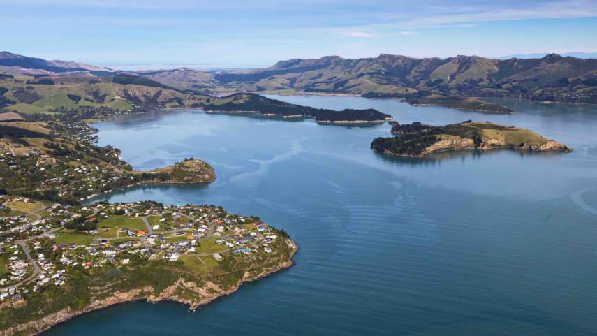 Whaka Ora Pest Project Image