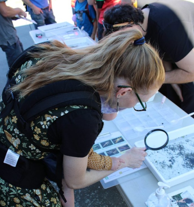 Climate Action Campus