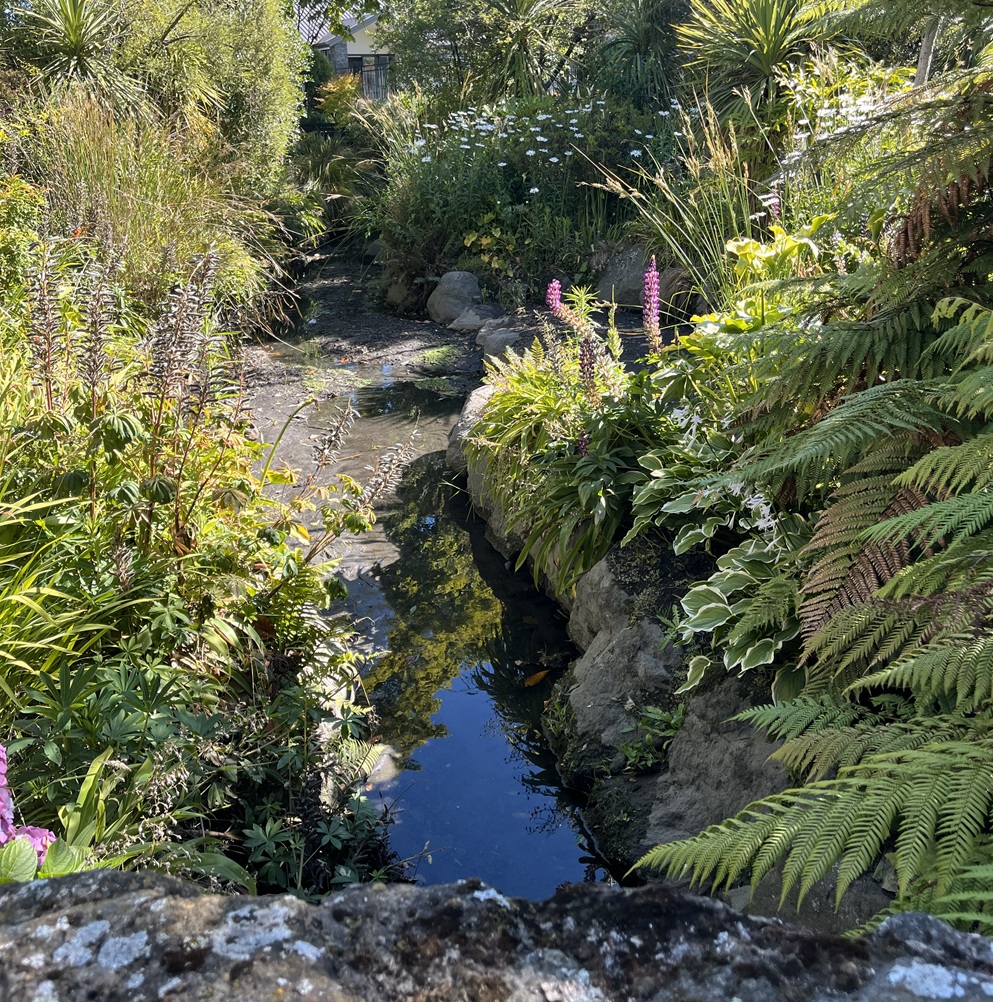 Heathcote Ecological Survey
